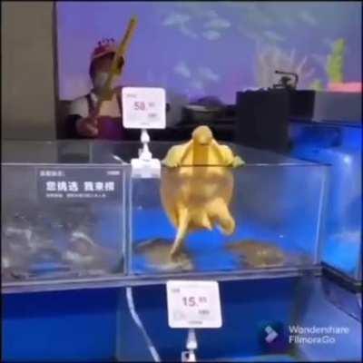 Attempting to escape china be like.