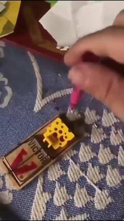 Professional trap tester