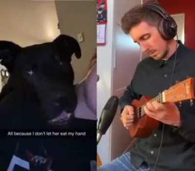 No my dog isn’t that dramatic. The dog: