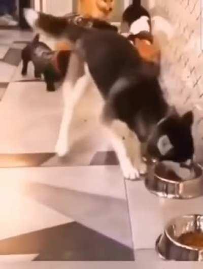 Just being a complete jerk