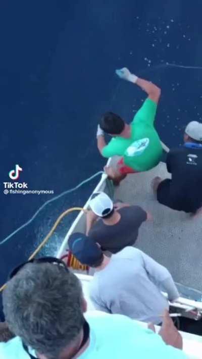 Great White eats tuna directly off fishing line