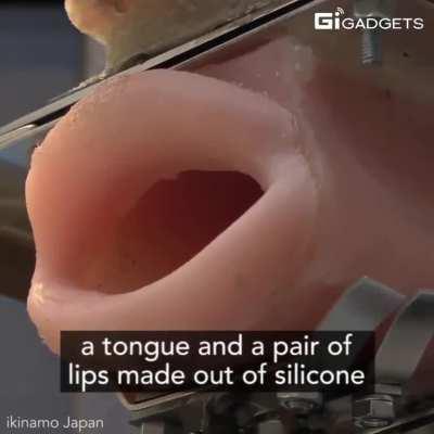 i found in the woods