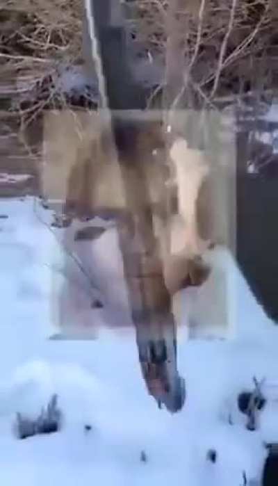 God I hope this hasn't been posted before