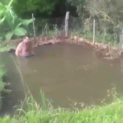 So many questions about this