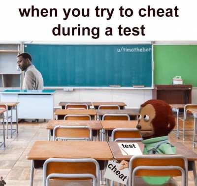 online classes go brrr