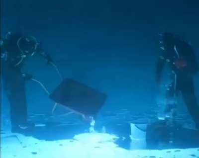 God's most trusted builders