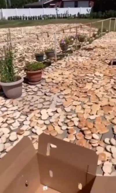 What in-game chat will look like when Yone is released on live servers