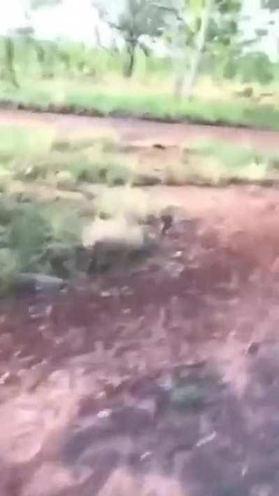 Nah… don’t run now, you gotta learn today