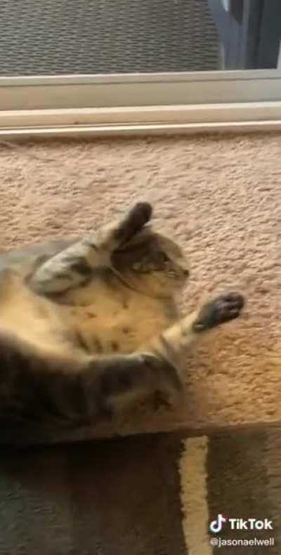 rArE wHiTe SnAkE mUrDeRs HeLpLeSs TiGeR