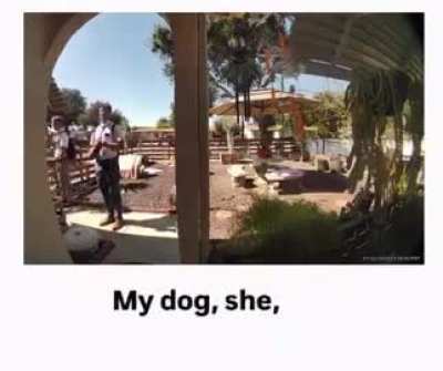 I guarantee you there is a sign on the gate that they ignored.