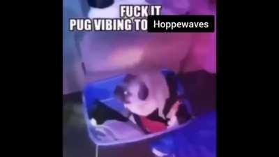 Democracy: The God That Failed