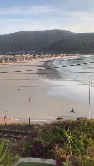 You need permission to enjoy the sunrise from my beach!