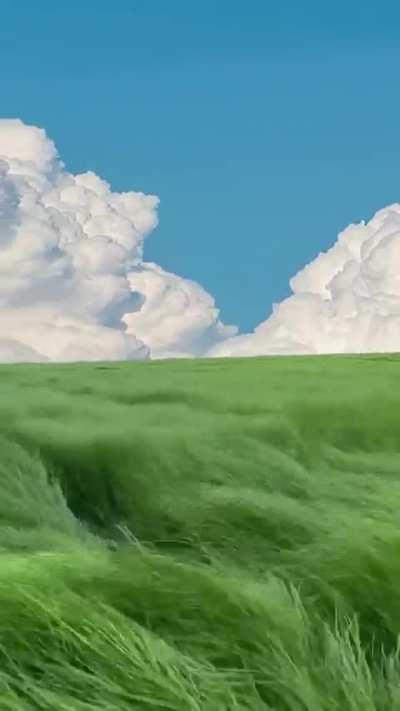 I just found this on instagram, it is extremely liminal.