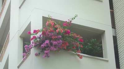 Sleepy Afternoons | Toa Payoh