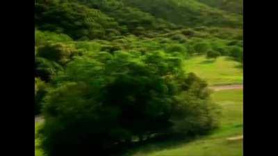 Are you afraid of sharks?