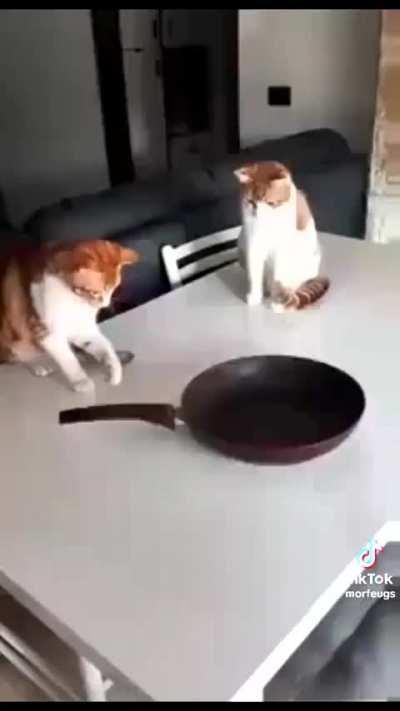 Brainrot frenzy 2/3 (extremely long)