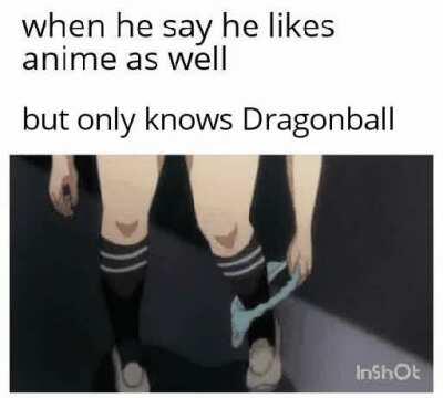 Damn Normies (no front to Dragonball)