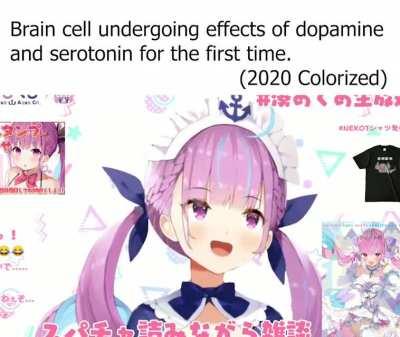 Remember Fellas: Happy