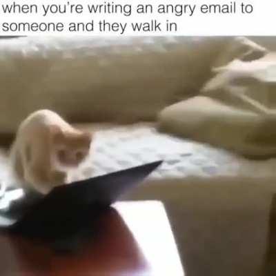 Just doing some coding until the human walks in