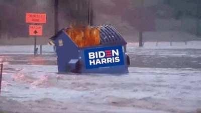 Live view of the Biden campaign