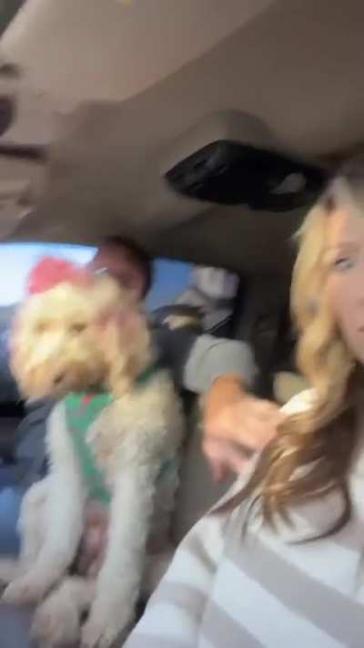 Don't worry, she'll find you a new home.