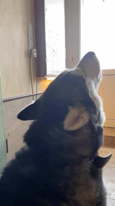 Feeling lonely whilst I am sitting right next to her. Ladies and Gentlemen, that’s Lucy for you.