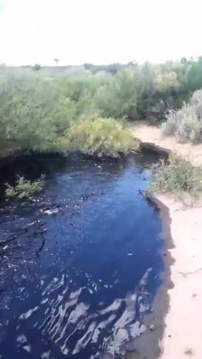 oil pipeline broke in Argentina.