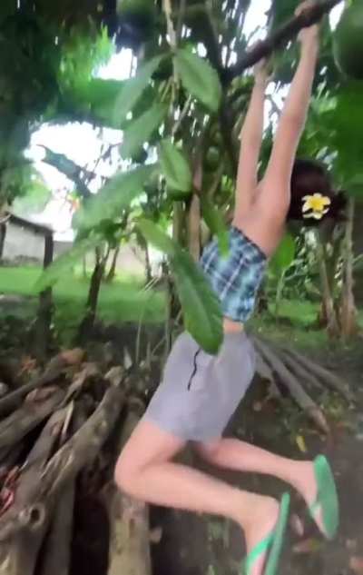 You thought the branch is strong.