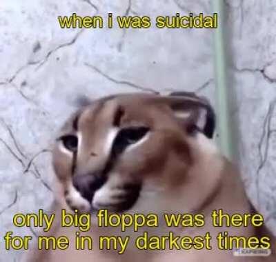 Thank you , Floppa <3