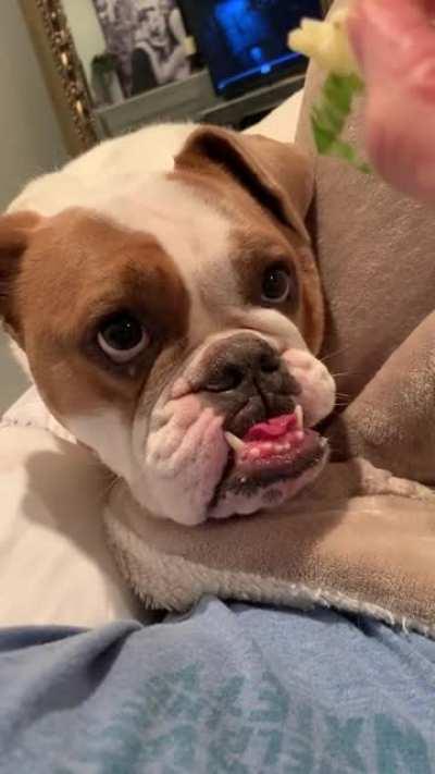 Creepin’ on my sandwich