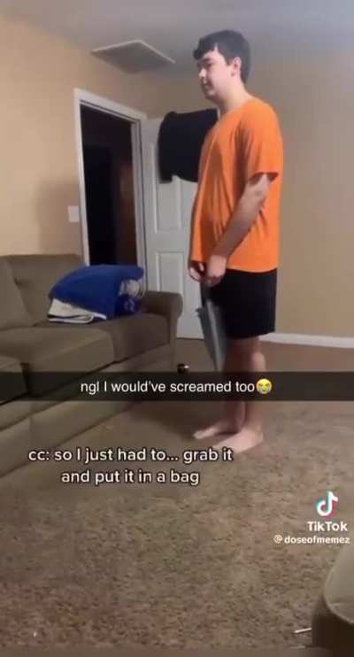 Idk if this has been posted here yet but 😭