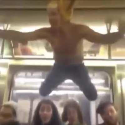 The lion sleeps tonight!