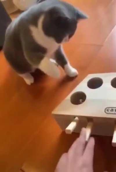 Oh shit! It popped back up!