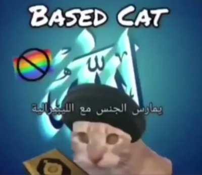 Based cat