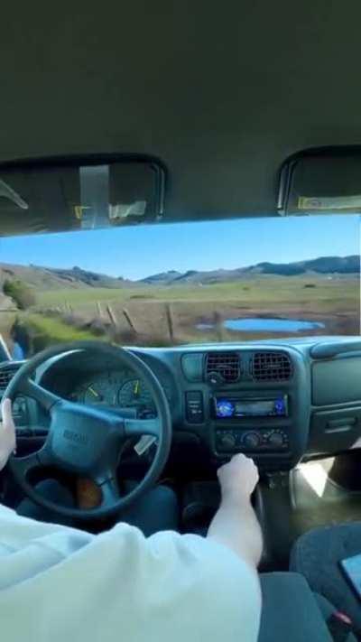 When you eat the wrong mushrooms