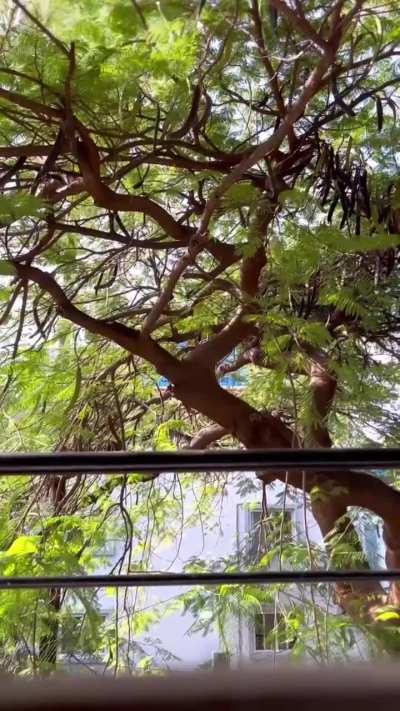 Morning Pour Over Routine 