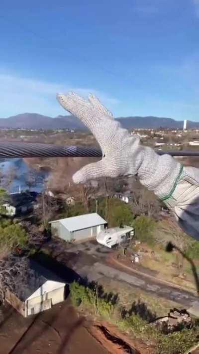 Don't forget your gloves