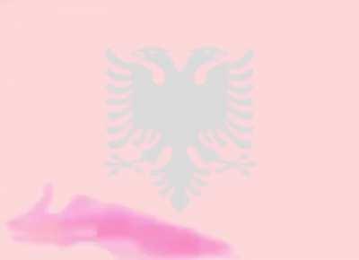 Fuck your turbofolk shkije noises, Albanian Albulena goes skrrr!!!!!!!!!!!!!!