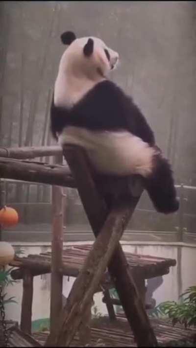 i'll sit here enjoy the view