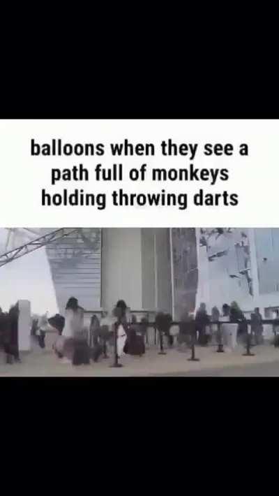 rule (wtf is a rule)