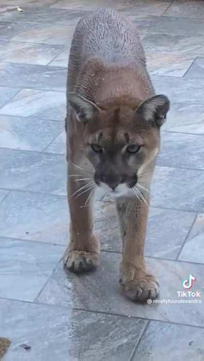 Yeah. You're such a tough guy.