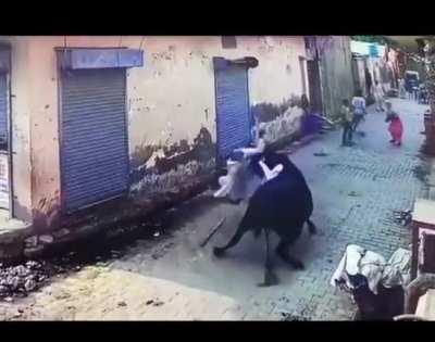 When messing with the bull.