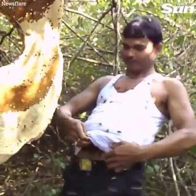 thanks I hate grabbing bees