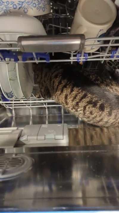 My dishwasher has a prewash- or rather a prelick cycle