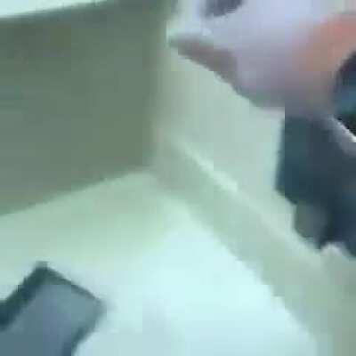 Mais um dia do luba kkkk