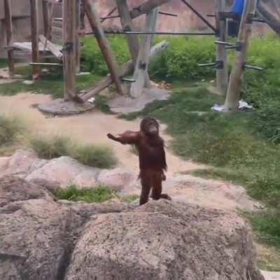 Luangameplay666 - Video #7363