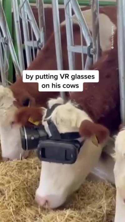 The industrial revolution and its consequences