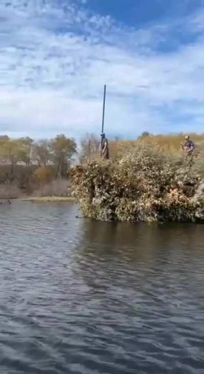 When the floating bush start speaking Ukranian: