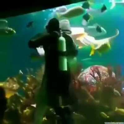 The dreams of Gawr Gura fans be like: