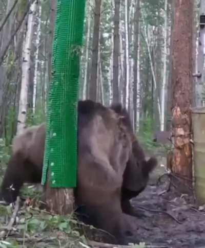 The music really sells it